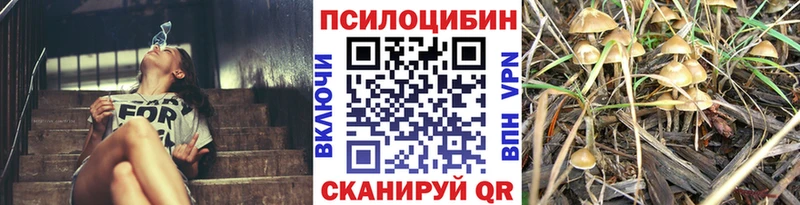 блэк спрут ссылки Новотитаровская Псилоцибиновые грибы MAGIC MUSHROOMS
