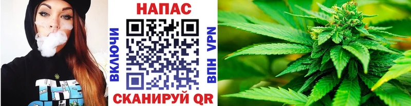 Канабис THC 21%  блэк спрут ссылки  Новотитаровская 